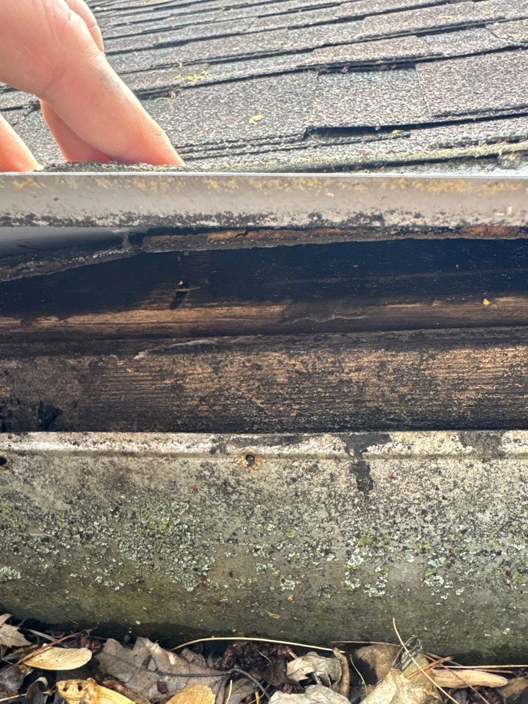 Why Does Water Pond on My Flat Roof? Causes and Fixes for Fillmore